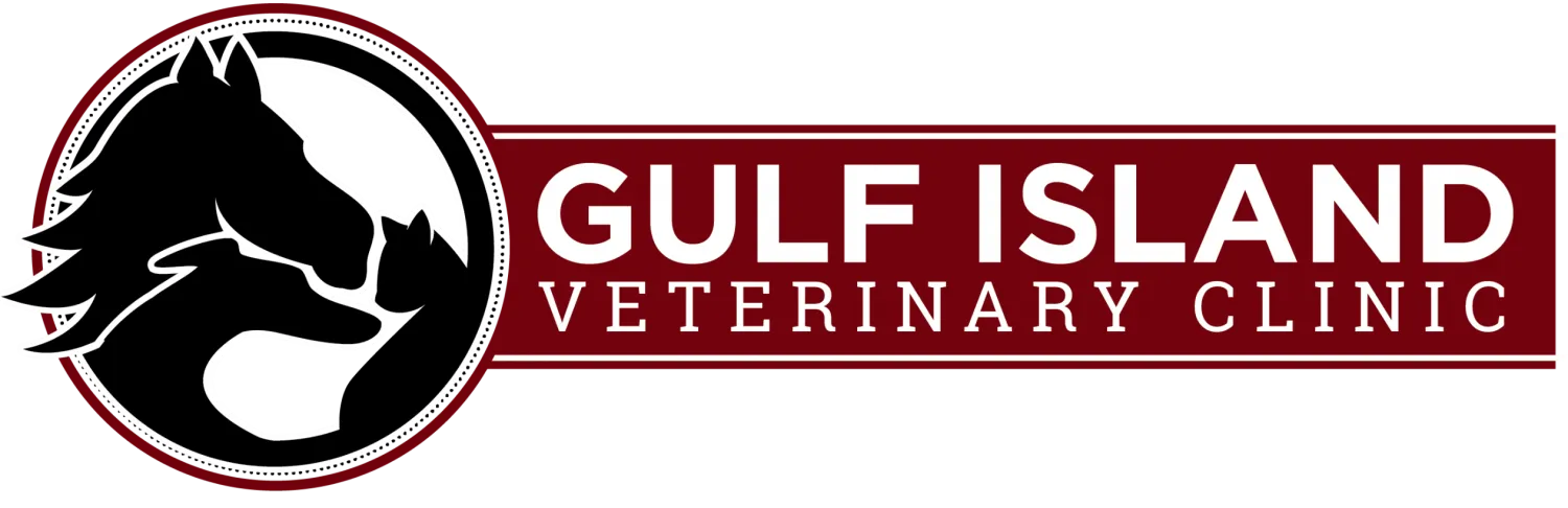 Gulf Island Veterinary Clinic Logo